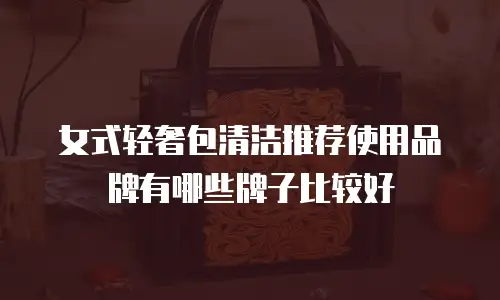 女式轻奢包清洁推荐使用品牌有哪些牌子比较好
