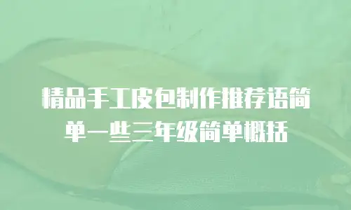 精品手工皮包制作推荐语简单一些三年级简单概括