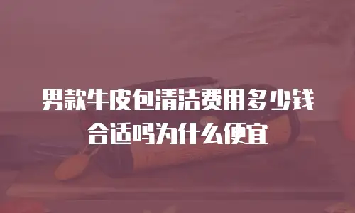 男款牛皮包清洁费用多少钱合适吗为什么便宜