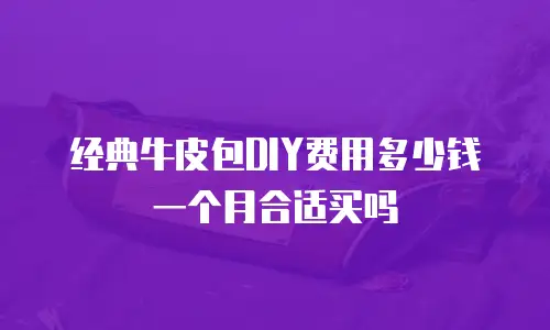 经典牛皮包DIY费用多少钱一个月合适买吗