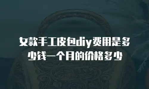 女款手工皮包diy费用是多少钱一个月的价格多少