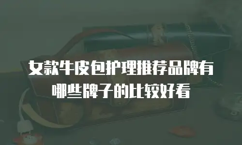 女款牛皮包护理推荐品牌有哪些牌子的比较好看