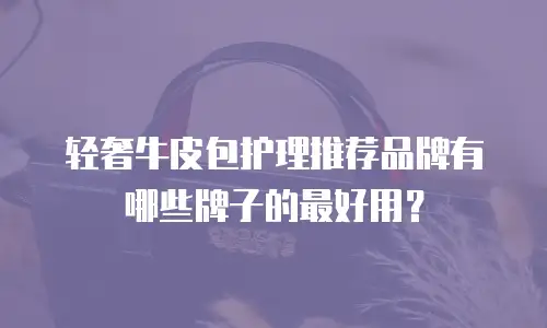 轻奢牛皮包护理推荐品牌有哪些牌子的最好用？