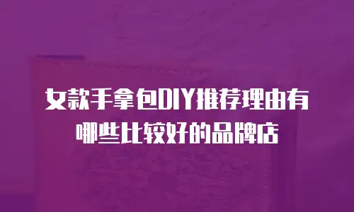 女款手拿包DIY推荐理由有哪些比较好的品牌店