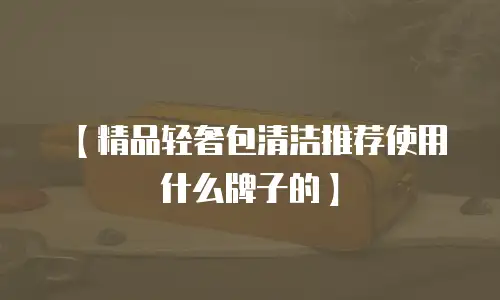 【精品轻奢包清洁推荐使用什么牌子的】