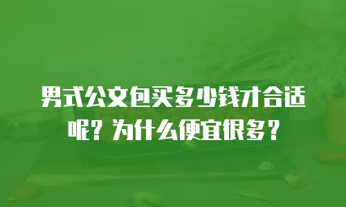 男式公文包买多少钱才合适呢？为什么便宜很多？