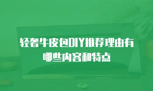 轻奢牛皮包DIY推荐理由有哪些内容和特点