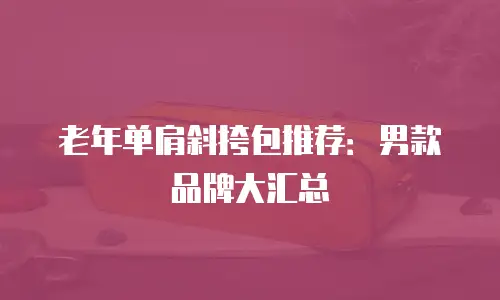 老年单肩斜挎包推荐：男款品牌大汇总