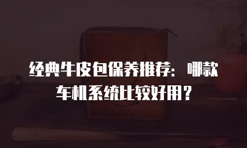 经典牛皮包保养推荐：哪款车机系统比较好用？
