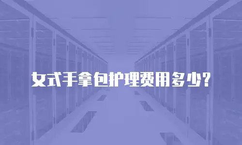 女式手拿包护理费用多少？