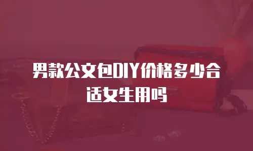 男款公文包DIY价格多少合适女生用吗
