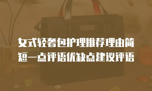 女式轻奢包护理推荐理由简短一点评语优缺点建议评语