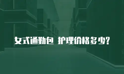  女式通勤包 护理价格多少?