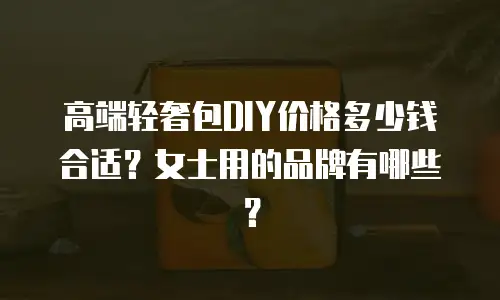 高端轻奢包DIY价格多少钱合适？女士用的品牌有哪些？