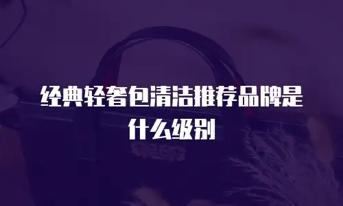 经典轻奢包清洁推荐品牌是什么级别