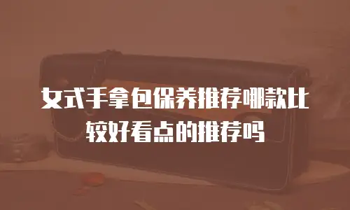 女式手拿包保养推荐哪款比较好看点的推荐吗
