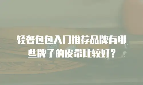 轻奢包包入门推荐品牌有哪些牌子的皮带比较好？