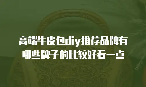 高端牛皮包diy推荐品牌有哪些牌子的比较好看一点