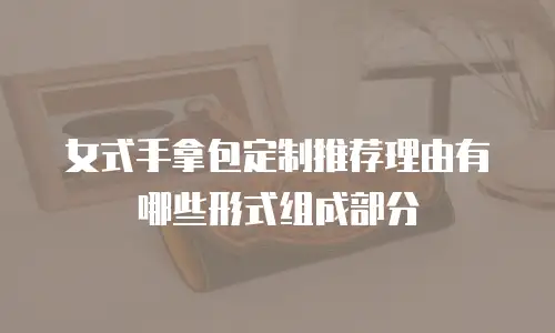 女式手拿包定制推荐理由有哪些形式组成部分