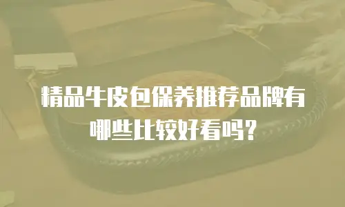 精品牛皮包保养推荐品牌有哪些比较好看吗？