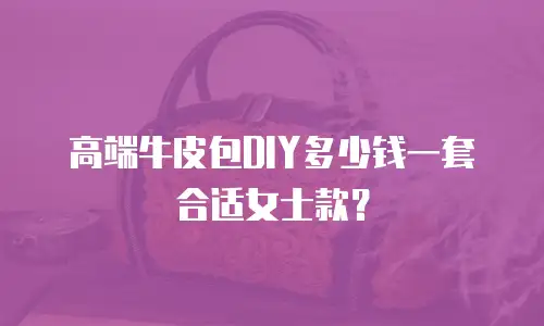 高端牛皮包DIY多少钱一套合适女士款？