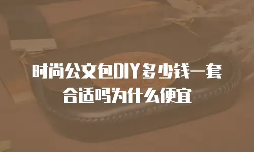 时尚公文包DIY多少钱一套合适吗为什么便宜