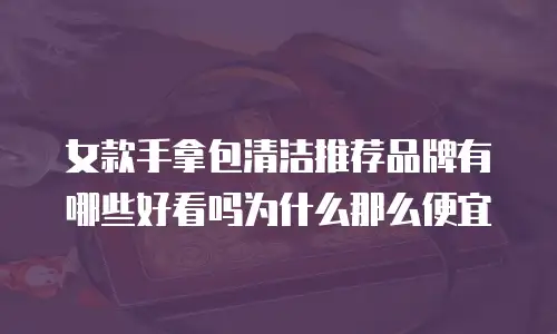 女款手拿包清洁推荐品牌有哪些好看吗为什么那么便宜