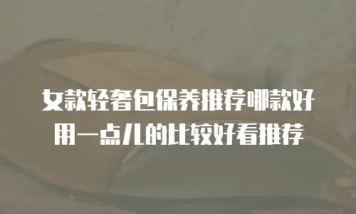 女款轻奢包保养推荐哪款好用一点儿的比较好看推荐