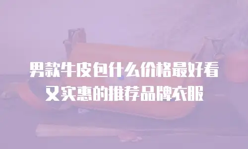 男款牛皮包什么价格最好看又实惠的推荐品牌衣服