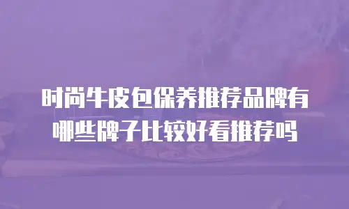 时尚牛皮包保养推荐品牌有哪些牌子比较好看推荐吗