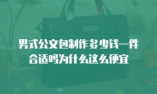 男式公文包制作多少钱一件合适吗为什么这么便宜