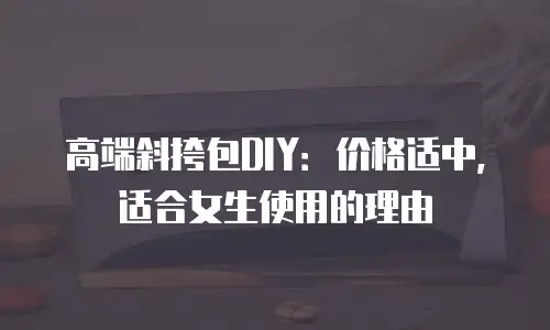 高端斜挎包DIY：价格适中，适合女生使用的理由