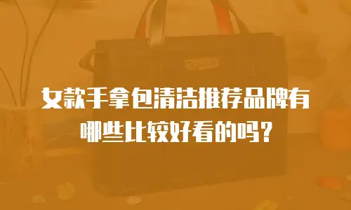 女款手拿包清洁推荐品牌有哪些比较好看的吗？
