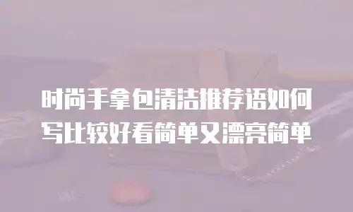 时尚手拿包清洁推荐语如何写比较好看简单又漂亮简单