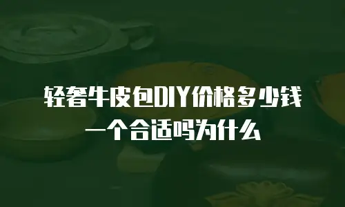 轻奢牛皮包DIY价格多少钱一个合适吗为什么