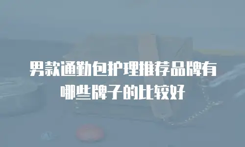 男款通勤包护理推荐品牌有哪些牌子的比较好