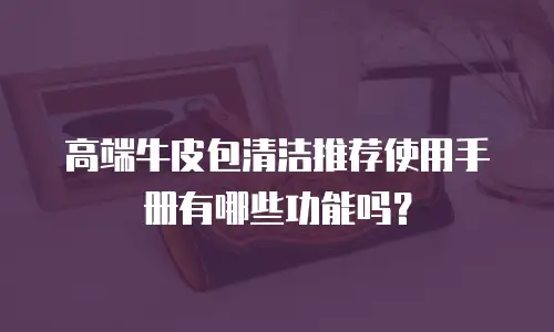 高端牛皮包清洁推荐使用手册有哪些功能吗？