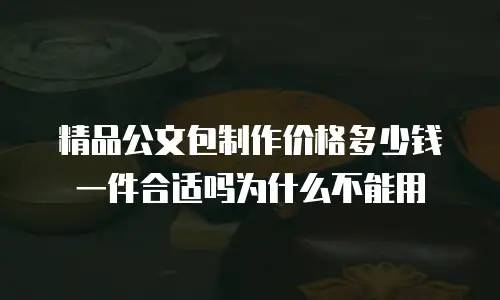 精品公文包制作价格多少钱一件合适吗为什么不能用
