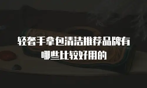 轻奢手拿包清洁推荐品牌有哪些比较好用的