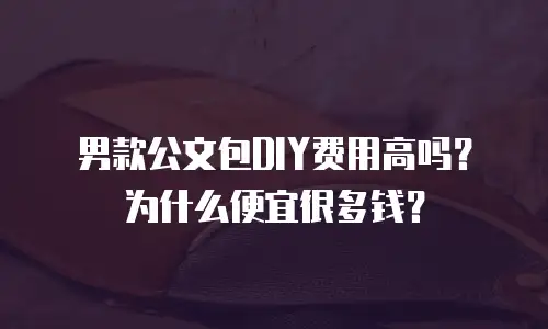男款公文包DIY费用高吗？为什么便宜很多钱？