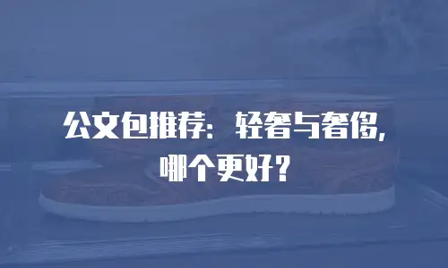 公文包推荐：轻奢与奢侈，哪个更好？