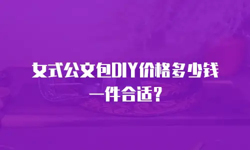 女式公文包DIY价格多少钱一件合适？