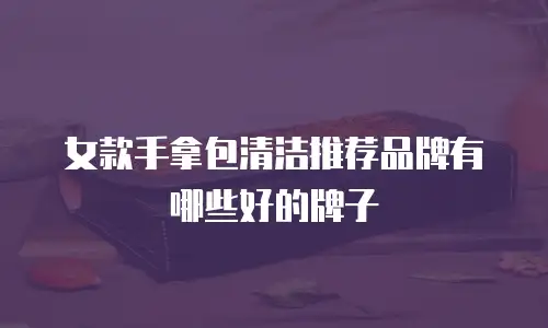 女款手拿包清洁推荐品牌有哪些好的牌子