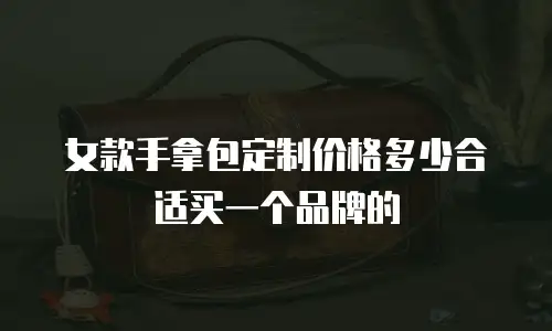 女款手拿包定制价格多少合适买一个品牌的