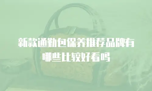 新款通勤包保养推荐品牌有哪些比较好看吗
