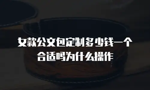 女款公文包定制多少钱一个合适吗为什么操作