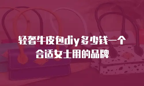 轻奢牛皮包diy多少钱一个合适女士用的品牌