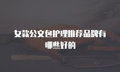 女款公文包护理推荐品牌有哪些好的