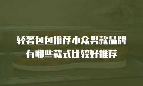 轻奢包包推荐小众男款品牌有哪些款式比较好推荐