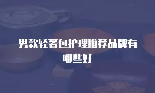 男款轻奢包护理推荐品牌有哪些好